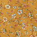 OCHRE