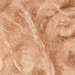 NUDO